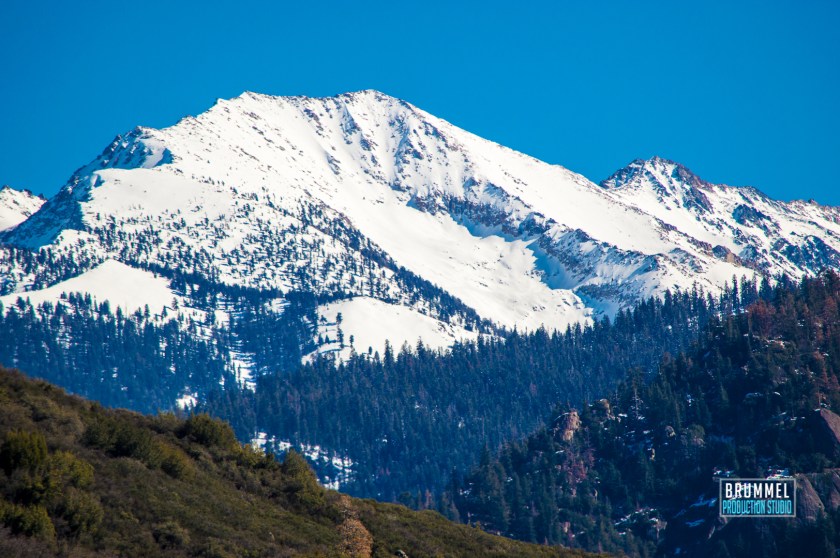 DSC_0113