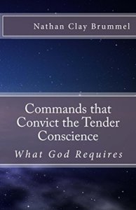 Commands that Convict the Tender Conscience cover